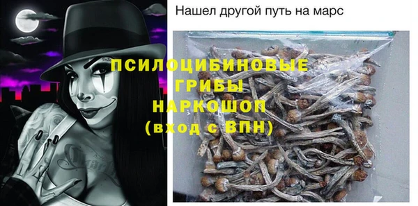 ешки Бронницы