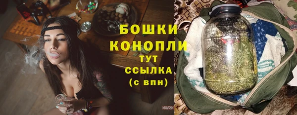 ешки Бронницы
