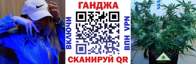 как найти закладки  Долгопрудный  Бошки Шишки THC 21% 
